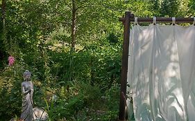 Tente Dans Gazebo Thai Dans Jardin En Bord De Riviere